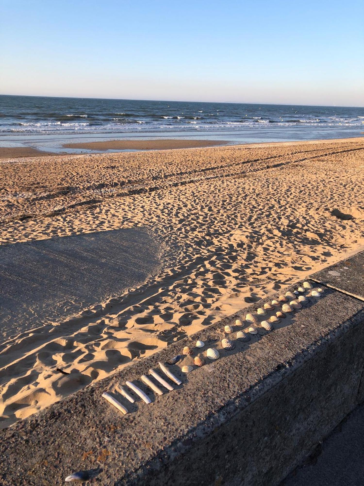 Le Petit Navire - Acces Direct Plage Cabourg Exterior photo